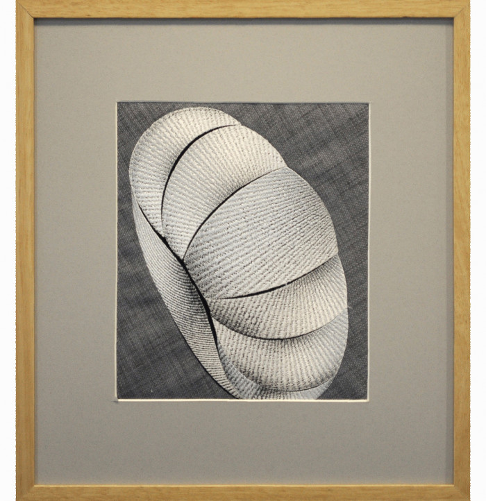 Cushion Torus