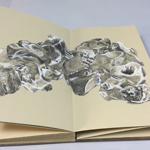 Artists Books