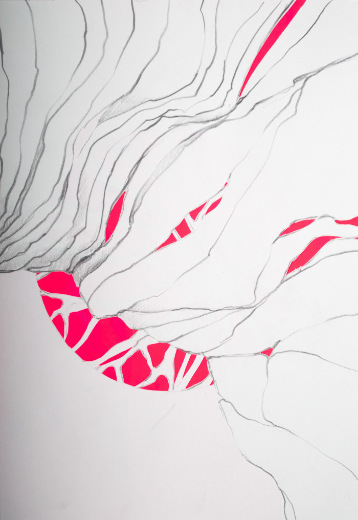 Creation Story